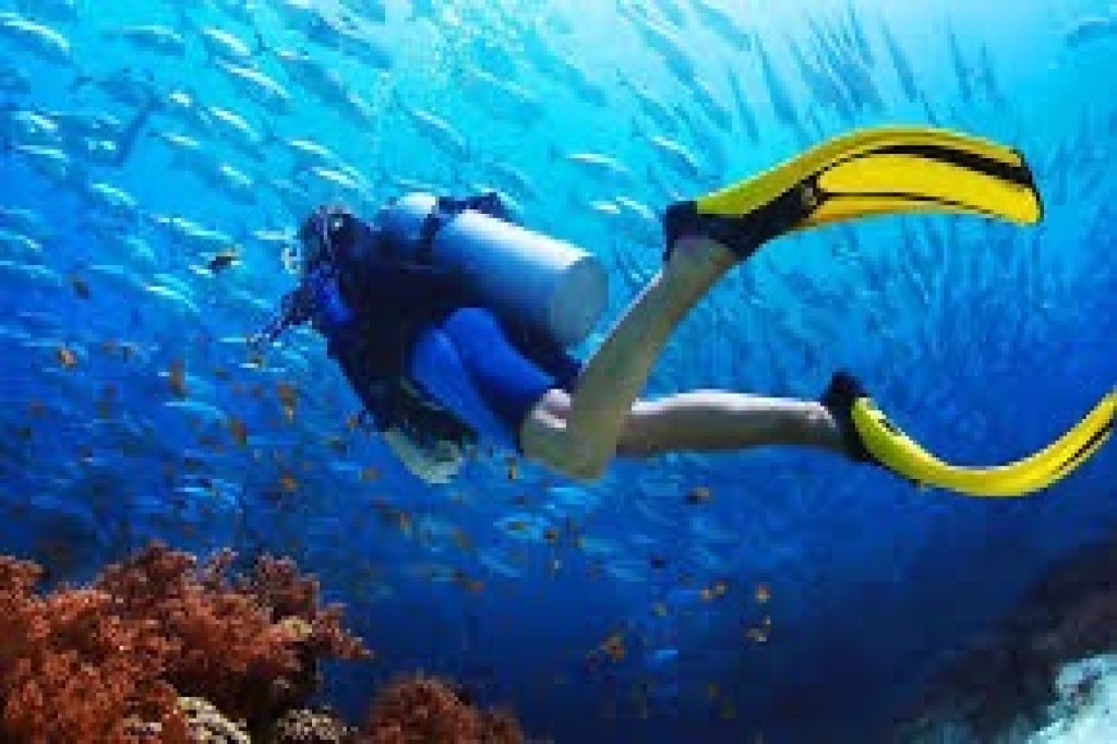 Diving Image 1